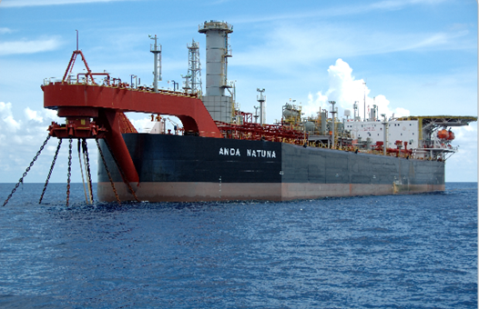 Anoa Natuna